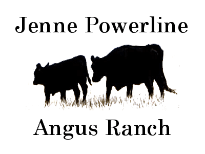 Jenne Powerline Angus